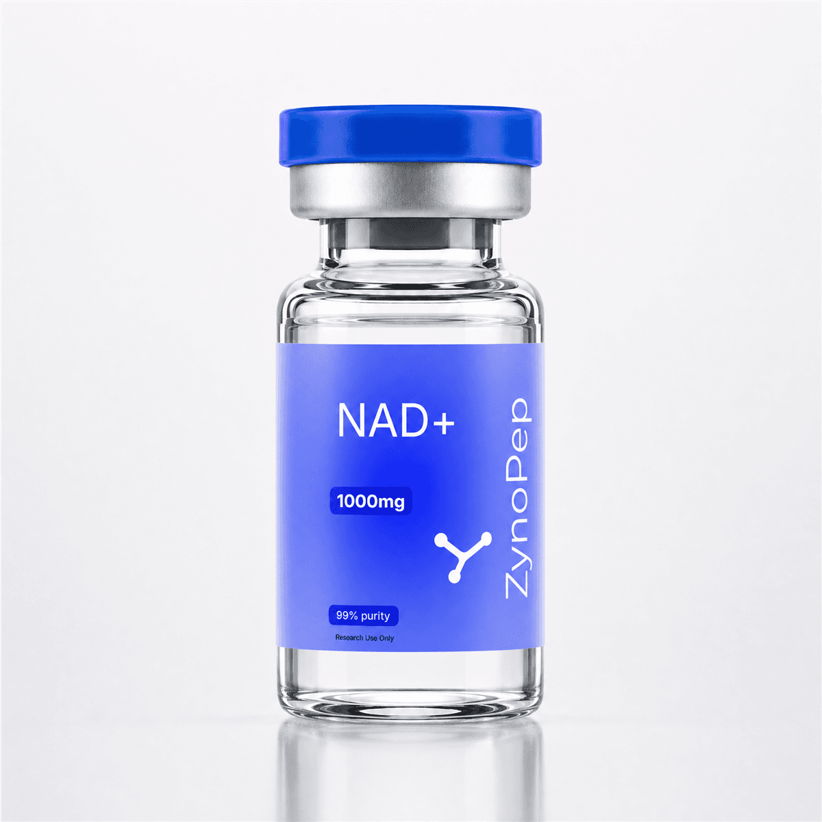 β-Nicotinamide Adenine Dinucleotide